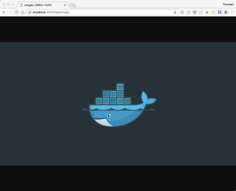 Our docker image delivered by ASP.NET Core from an Azure File Share